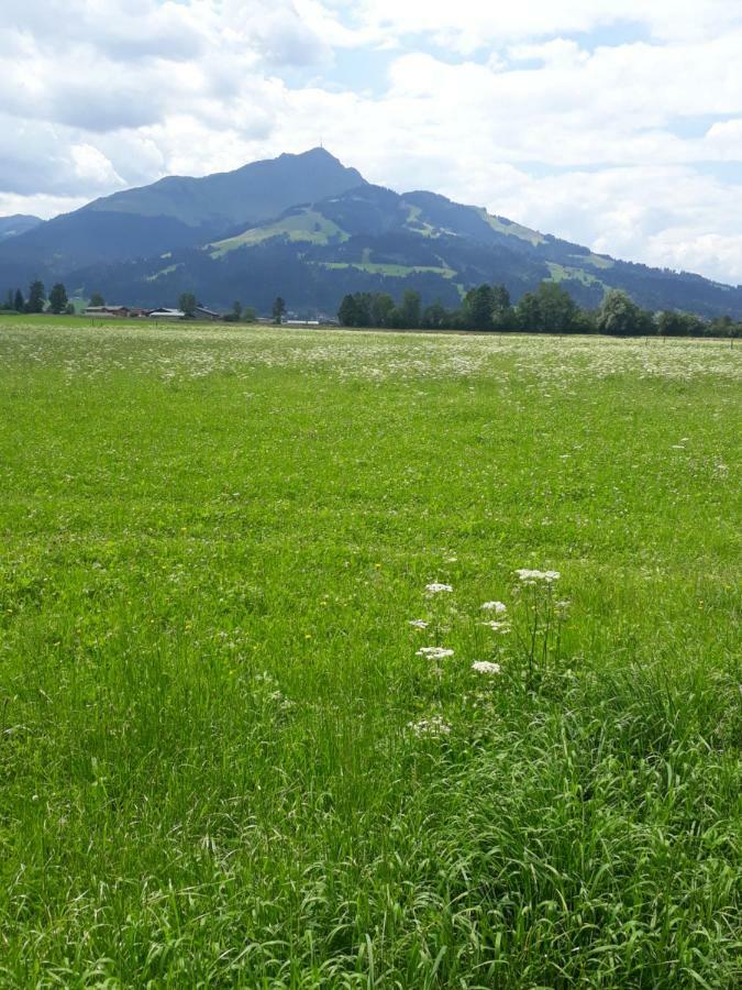 Appartement Müllner Kirchdorf in Tirol Extérieur photo